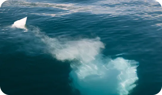 海洋散骨プラン（代行）