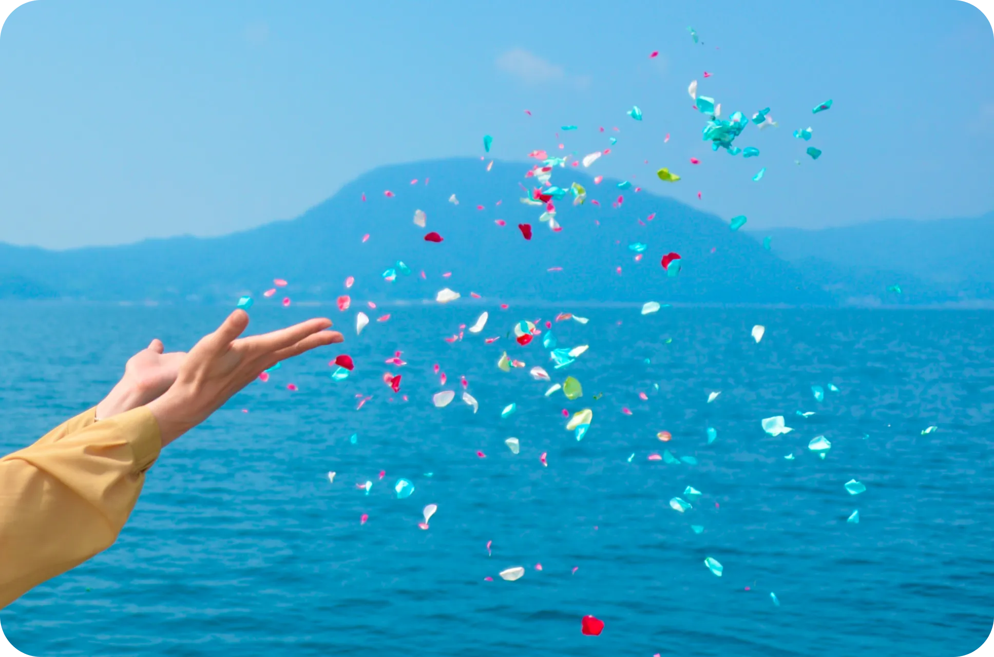 別府湾での海洋散骨の風景