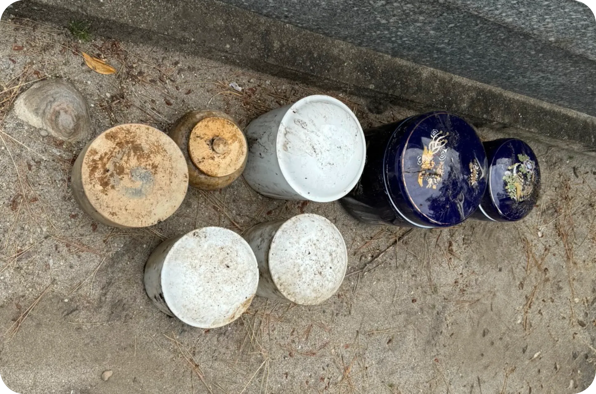 遺骨の整理の様子