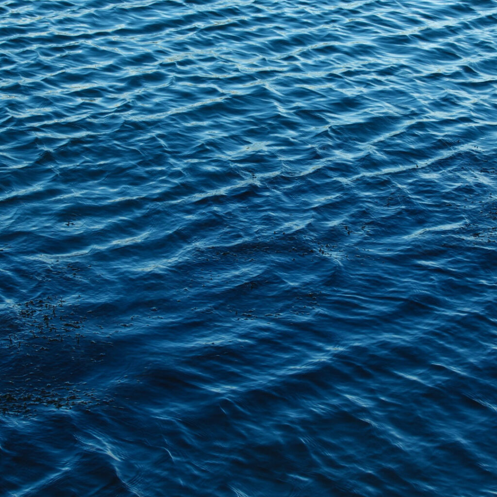 海の写真　海洋散骨のイメージ写真