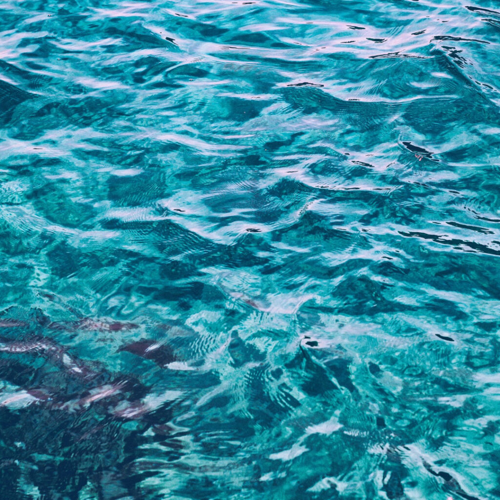 海の写真　海洋散骨のイメージ写真