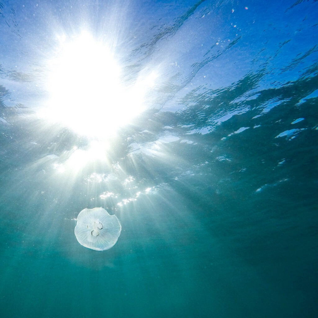 海の写真　海洋散骨のイメージ写真