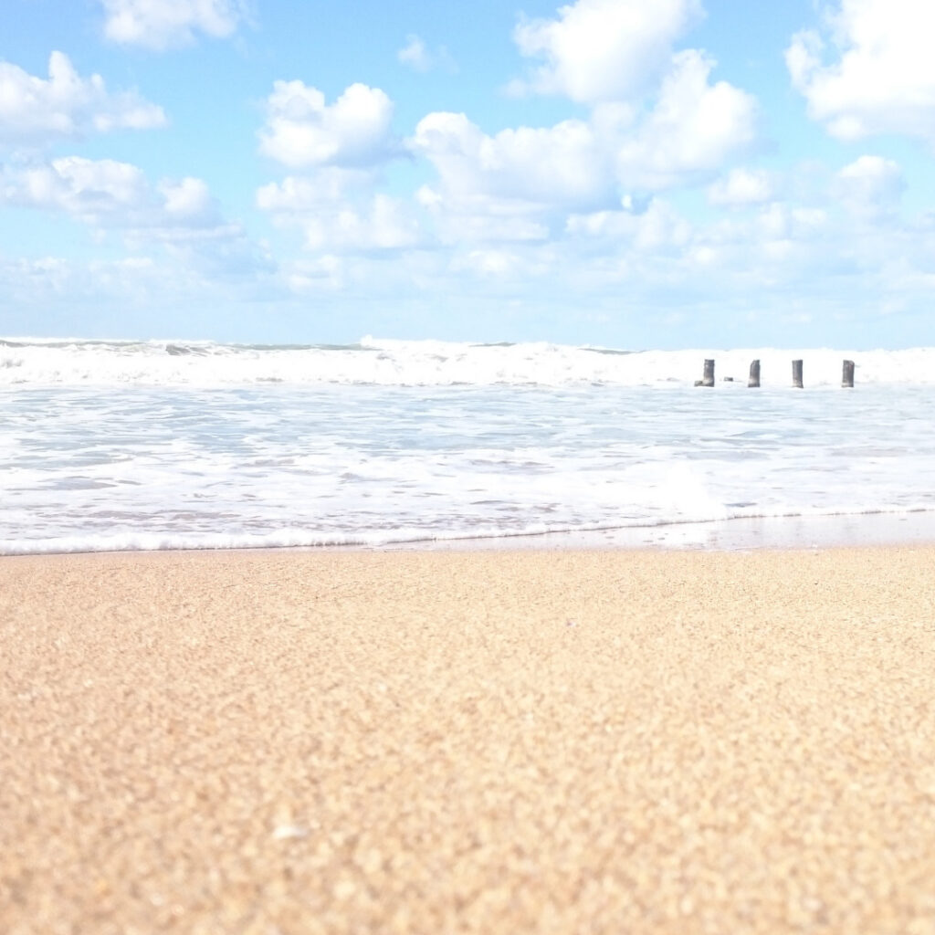 海の写真　海洋散骨のイメージ写真