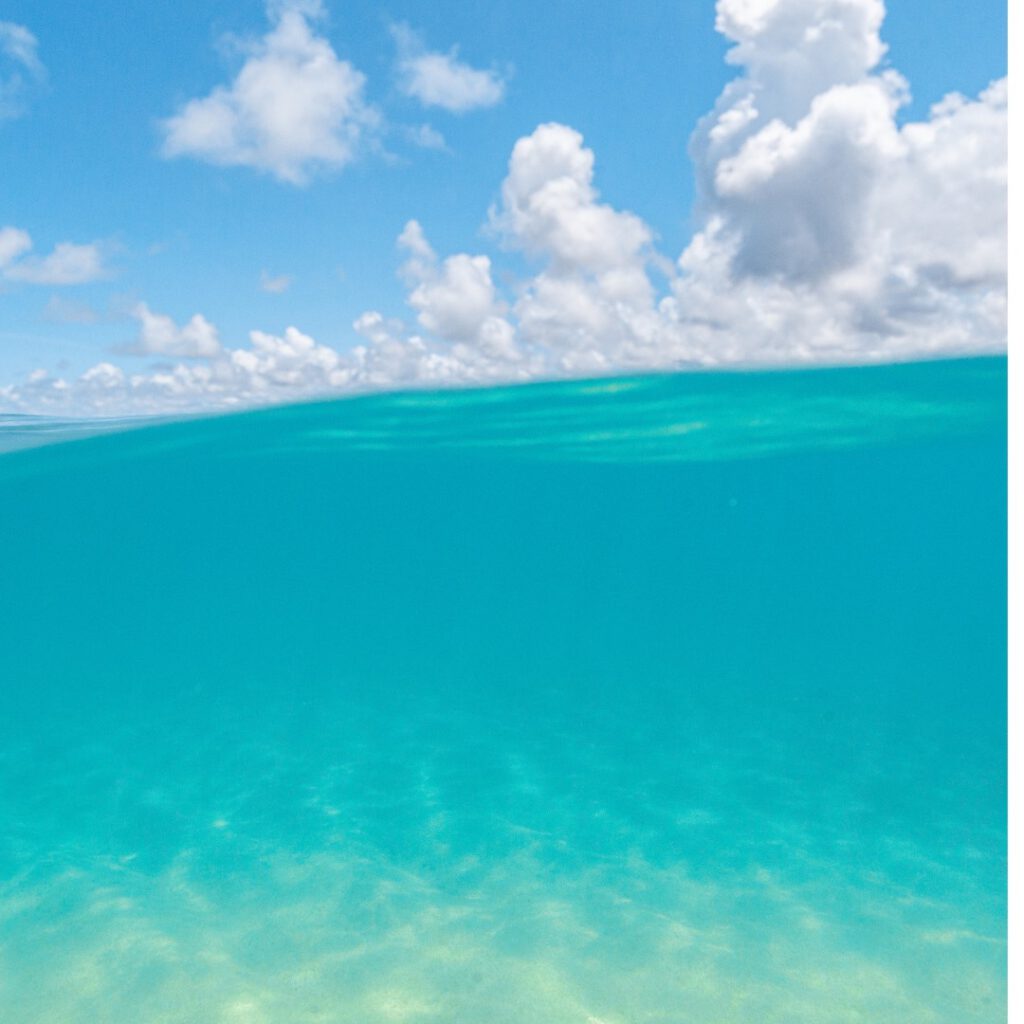 海の写真　海洋散骨のイメージ写真