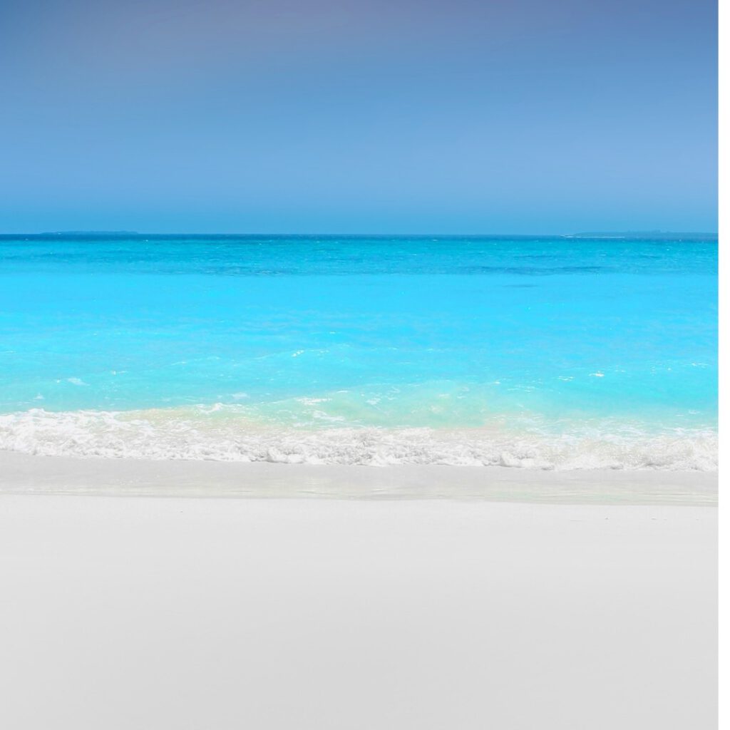海の写真　海洋散骨のイメージ写真