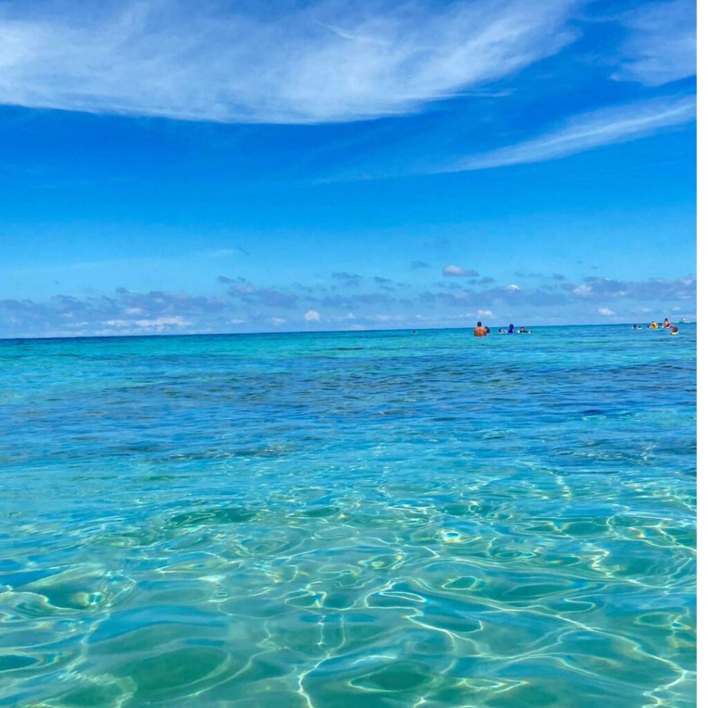 海の写真　海洋散骨のイメージ写真