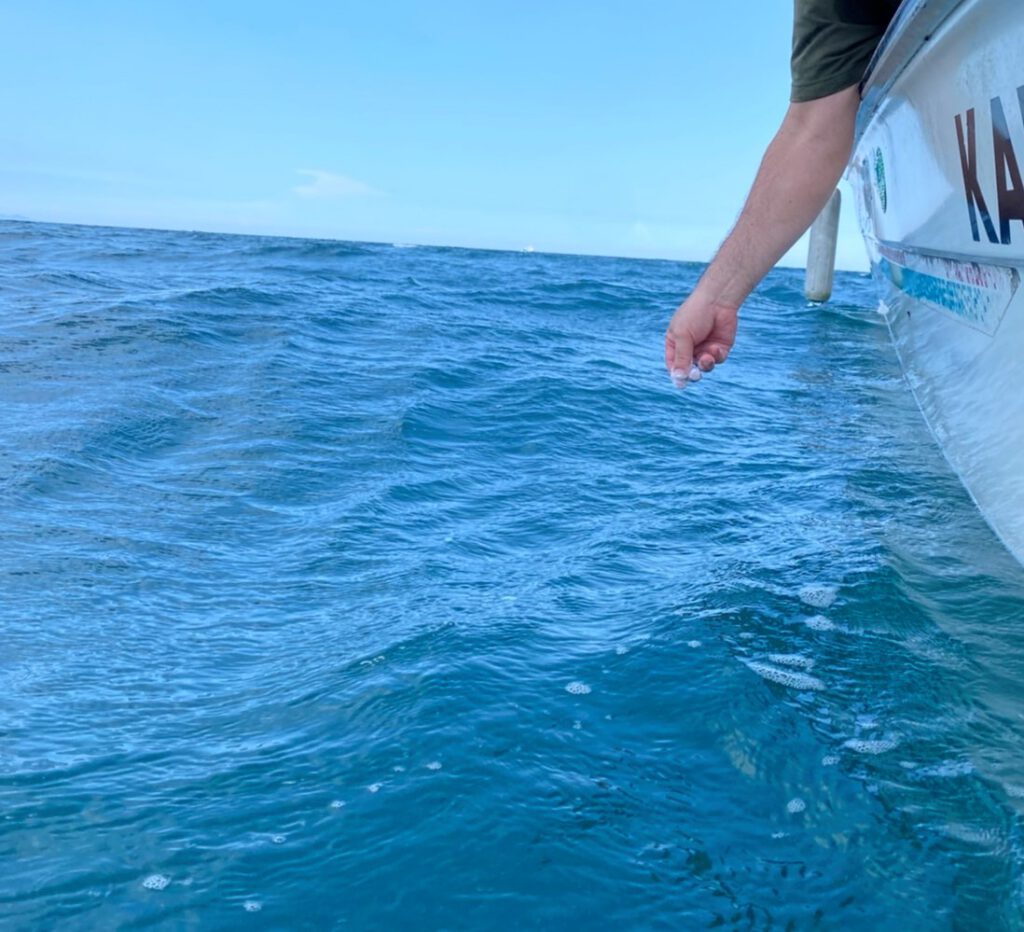大分海洋散骨