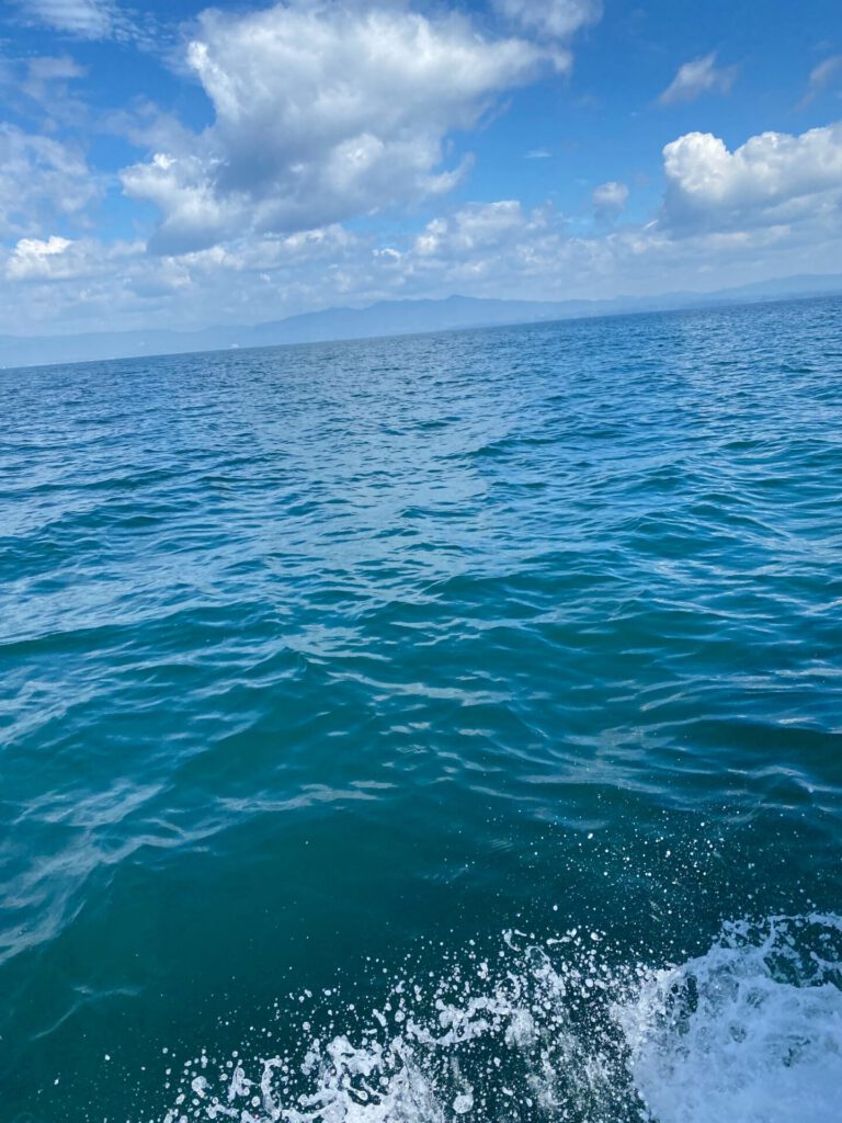 イギリスから大分で海洋散骨
