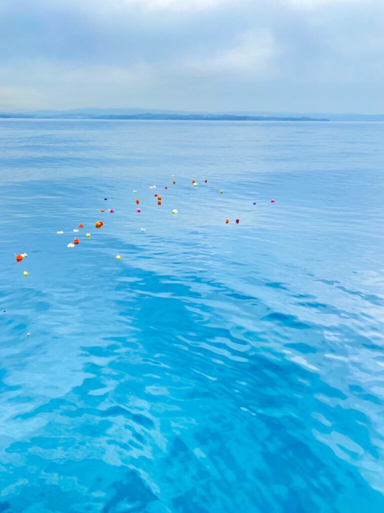 大分で海洋散骨