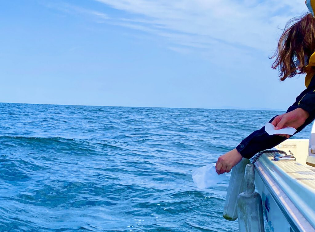 海洋散骨手紙