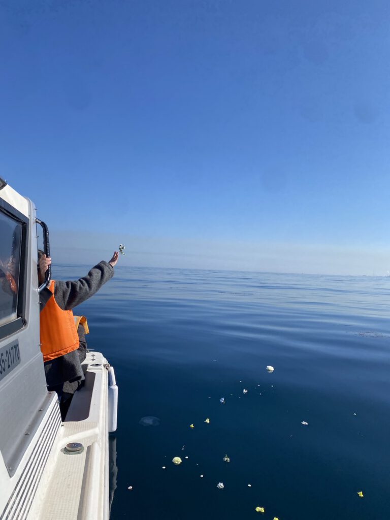 家族でお見送り海洋散骨