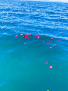 大分で粉骨代行海洋散骨