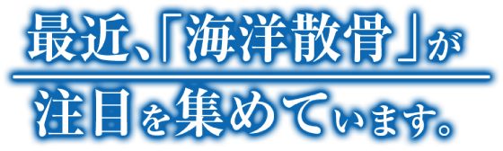 最近「海洋散骨」が注目を集めています。その理由とは・・・