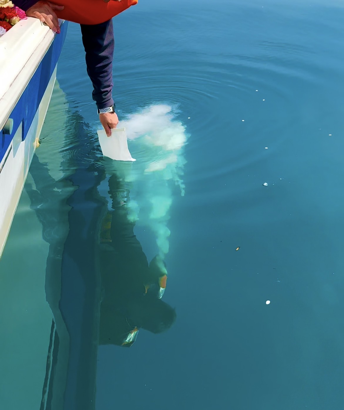 永代供養付きの海洋散骨とは