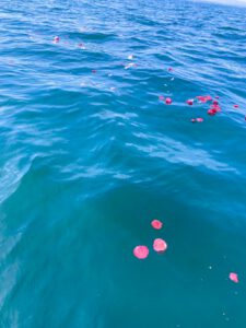 一人息子の海洋散骨