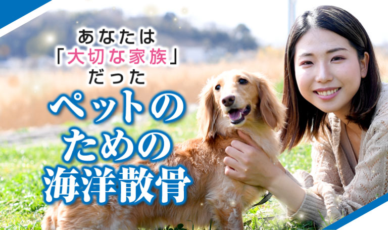 あなたは「大切な家族」だった。ペットのための海洋散骨のサムネイル。女性が愛犬と野原で寄り添っているイメージ写真が掲載されている。