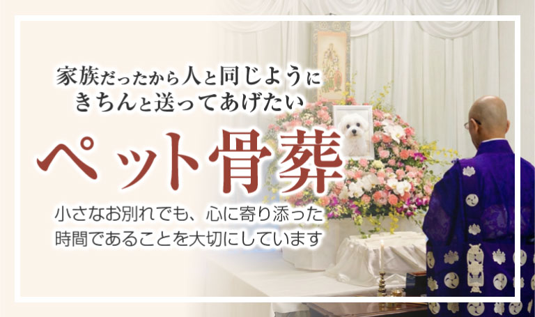 家族だったから、人と同じように、きちんと送ってあげたい。「ペット骨葬」のサムネイル。ペット骨葬の様子の写真が掲載されている。